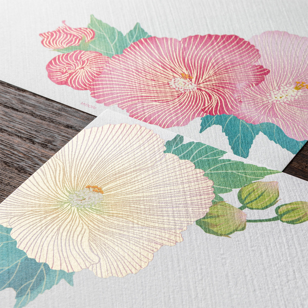 Midori Kami letter writing set - confederate rose