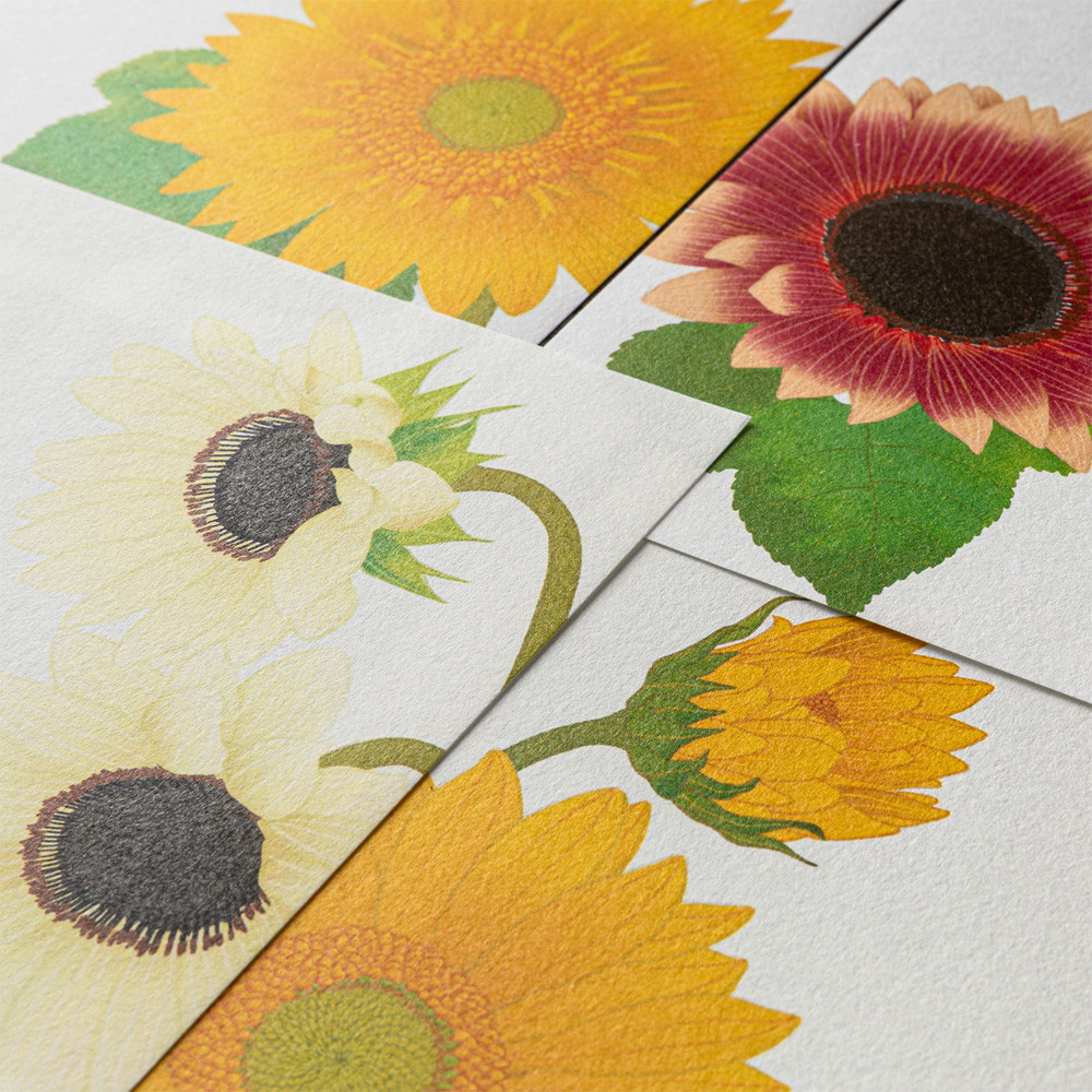 Midori Kami letter writing set - sunflowers