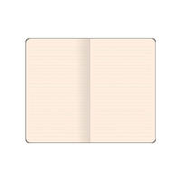 Flexbook - Smart notebook - A6 - LINED