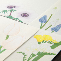 Midori Kami letter writing set - spring flowers.