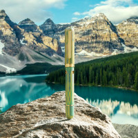 Nahvalur Nautilus fountain pen - Spring