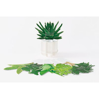 Good Morning calendar 2026 - green