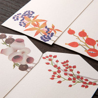 Midori Kami letter writing set - autumn wreath
