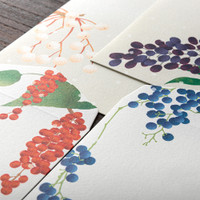 Midori Kami letter writing set - Four Designs Winter Fruit