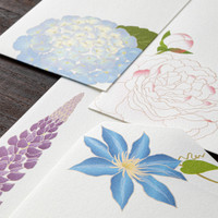 Midori Kami letter writing set - (s5) summer flowers