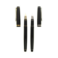 Pilot Falcon fountain pen - resin