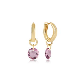 Reflection Charm Huggie Hoop Earrings - February