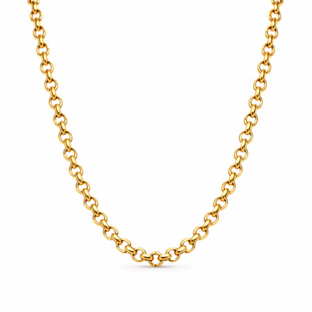 Sarah Rolo Chain Necklace – Gold