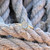 Compass Ring Compass Ring