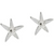 Cape Star Mini Post Earrings - Silver Cape Star Mini Post Earrings - Silver