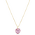 Reflection Charm Neclace - February