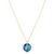 Reflection Charm Necklace - December
