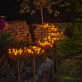 Lightstyle London Solar / Battery Wild Fennel in a row in the garden.