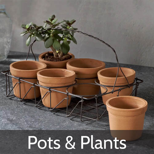 Planters, Pots and plants to put them in.