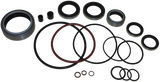 Gasket Cylinder Head Emp