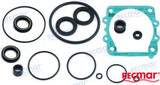 Lower Unit Gasket Kit (Wsl)