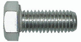 5/16-18 X 3 Ss Hex Cap Screw