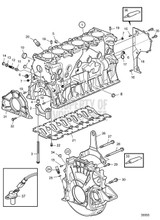 Flange Screw