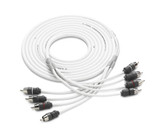 JL Audio 12 ft 4 Channel Audio Interconnect Cable JL Audio 12 ft 4 Channel Audio Interconnect Cable