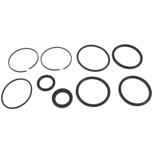 Brp Seal Kit, Trim And Tilt (985060)
