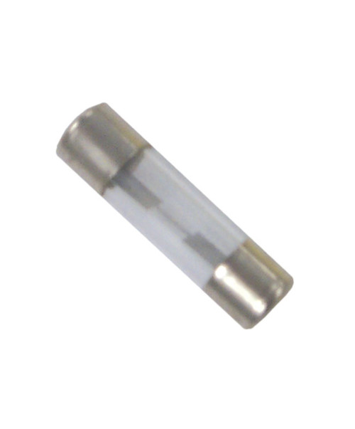 Dometic Agu 20 Amp Fuse  (2/Pk) Fs79820