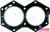 Recmar Cylinderhead Gasket (Rec318358)