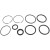 Brp Seal Kit, Trim And Tilt (985060)