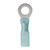 Ancor 16-14 1/4 Ring Terminal Heat Shrink Blue 100 Pack