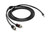 JL Audio 2-Channel 6ft Y-Cable 3.5mm Mini to 2 RCA Males