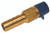 Brp Us Inc Anti-Siphon Valve 3/8" Brass 173274