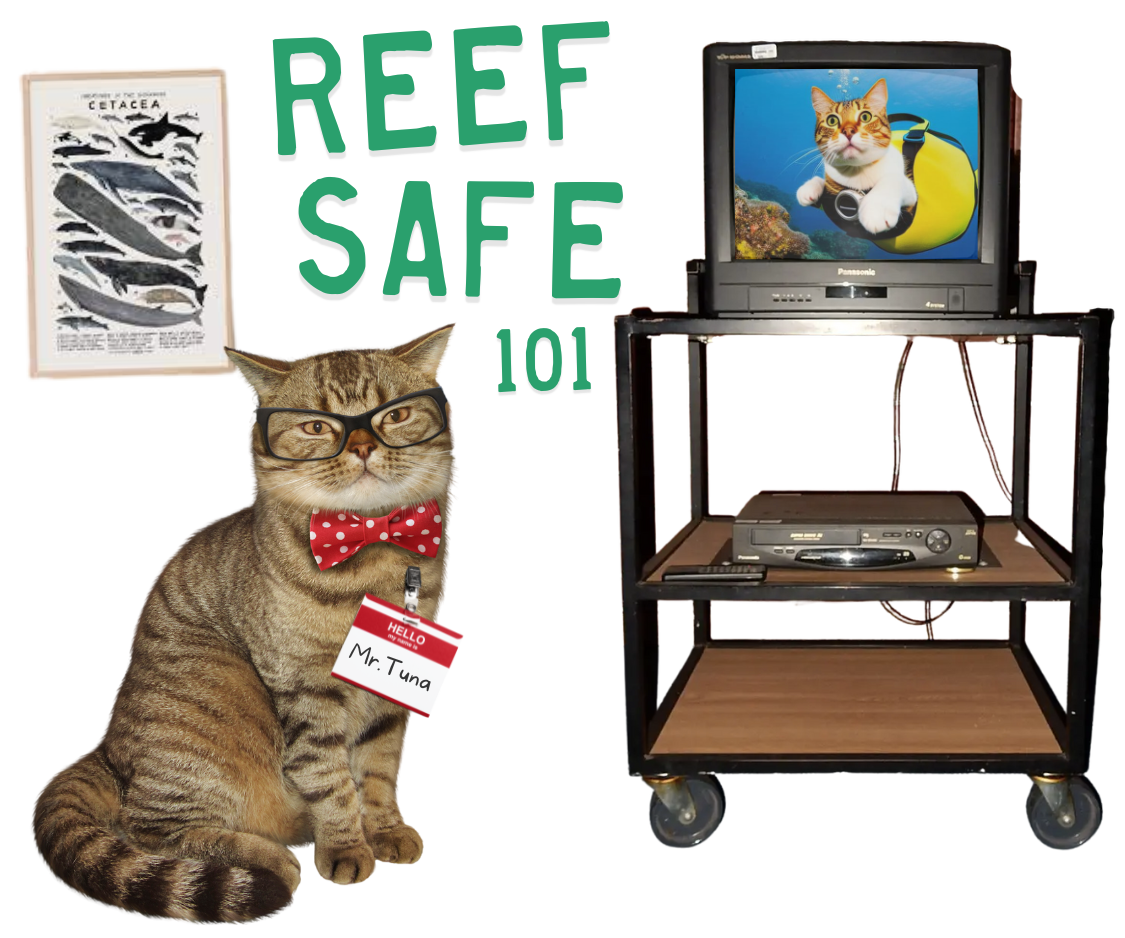 what is reef safe