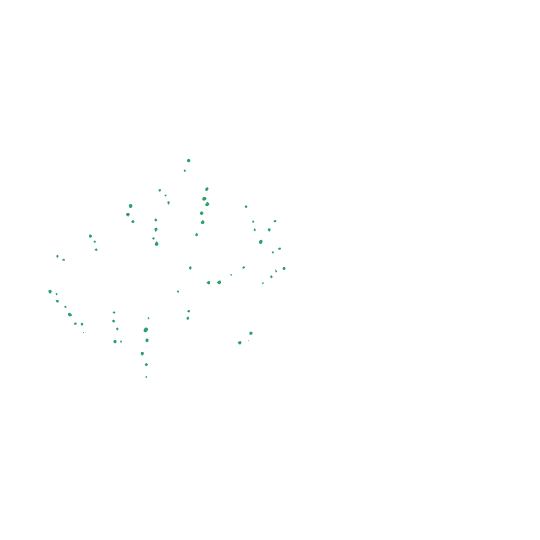 reef safe