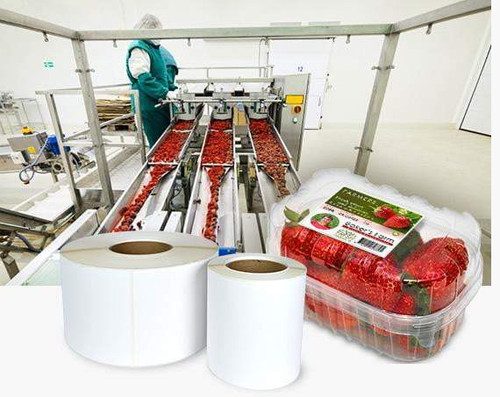 300x 4"x6" HG Label Roll 6" OD | 931044