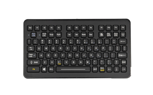iKey Small-Footprint Industrial Keyboard (DP-88)