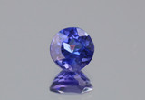 Violet Blue Round AAA Natural Tanzanite 0.70 Carats