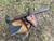 Raffle- Scout Bushcraft Kit