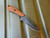 Every Day Carry Knife