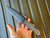 Double edged knife