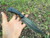 Scout Knife