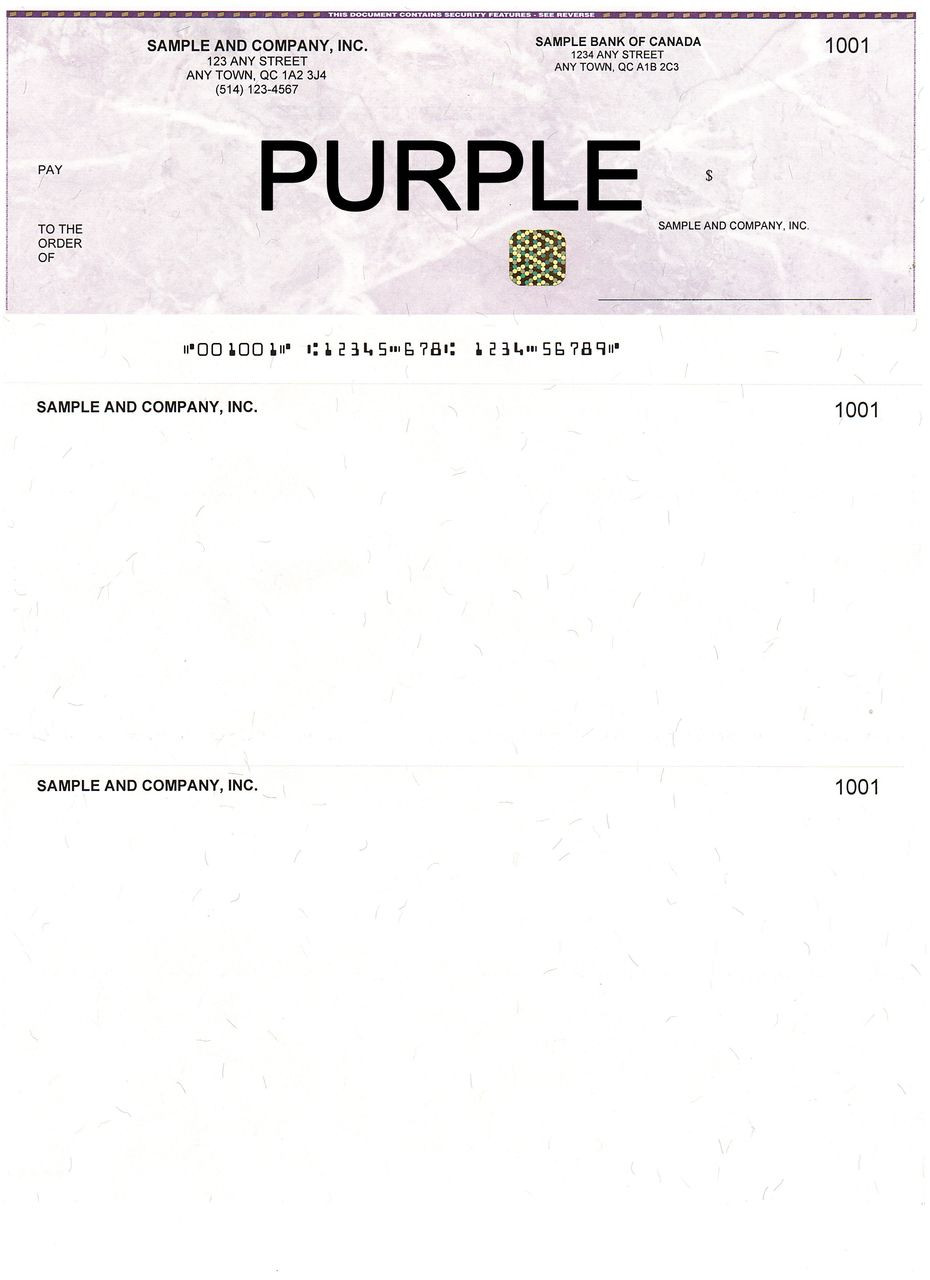 Our Company Laser Cheques Help You Prevent Check Fraud