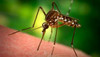 Summit Chemical Quick Kill Mosquito Bits, 30 oz (case of 6) in bulk (MSD1176) UPC 018506001179 (2)