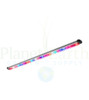 Kind LED Flower 4' Bar Light (KFBB140) UPC 636823174705 (1)