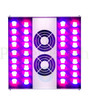 powerPAR 200W Greenhouse LED (240 Volt) Grow Light (ILP200) UPC 4646003859830 (2)