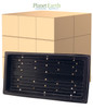Super Sprouter Propagation Trays (10 inches x 20 inches) with Holes in Bulk (726169) UPC 20849969000751 (1)