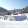 Sun Master 6 Mil (10' X 125') 55% Opacity White Greenhouse Film