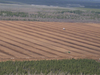 Profile Products Canadian Sphagnum Peat Moss (135 cubic foot compressed bales) in Bulk (3)