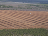 Profile Products Canadian Sphagnum Peat Moss (135 cubic foot compressed bales) Full Truckload (3)