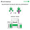 Athena Stack Foliar Line (32 ounce) (4)