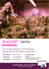 RED Horticulture ScarLED 1010 watts (277-480 volts) in Bulk (3)
