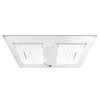 AgroMax RAW 270 4000K LED Grow Light  (2)